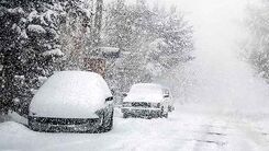 بارش نیم متری برف در شمال تهران