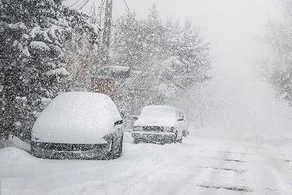 بارش نیم متری برف در شمال تهران