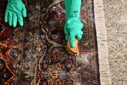 بهترین روش شست‌وشوی فرش در خانه | چه کار کنیم آب کمتر مصرف شود ؟