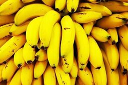 گرانی دوباره موز در بازار!