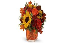 6 گل ترند در فصل زیبای پاییز
