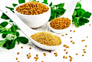 معجزه باورنکردنی این گیاه برای جلوگیری از ریزش مو + روش های استفاده