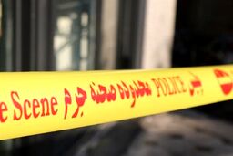 انتقام وحشتناک بلاگر مشهور اینستاگرام از همسر باردارش | قتل همسر و مادر و برادرزنش با اسلحه + جزییات