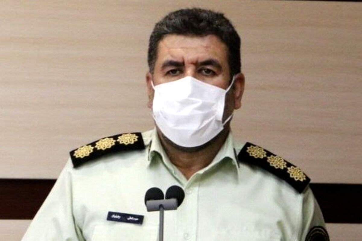 سرقت عجیب در تهران| درخت دزدی در شهر ری!