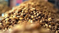 هر کیلو پسته چند برابر نفت می‌ ارزد؟
