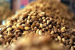 قیمت پسته یک ماه مانده به عید نوروز | توصیه عجیب برای خرید پسته