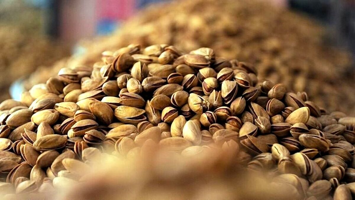 جدیدترین قیمت پسته در بازار | پسته کیلویی چند شد ؟