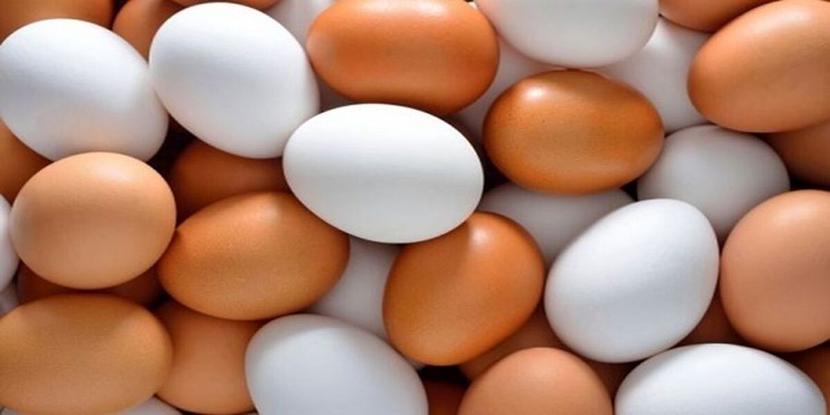 تخلف عجیب سوپرمارکت‌ها در فروش تخم مرغ