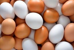 جدیدترین قیمت تخم مرغ امروز  ۹ دی ۱۴۰۲ | قیمت تخم مرغ شانه ای چند ؟ + جدول