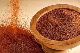 اگر کبد چرب دارید با این روش درمانش کنید | معجزه خاکشیر برای کبد