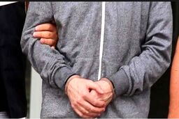 ترکیه خبر داد | بازداشت یک داعشی پیش از ورود به ایران