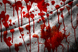  2 جنایت هولناک در مشهد در یک روز | چاقوکشی اوباش در یکی از پارک های مشهد با پدر و پسر پاکبان +عکس