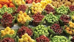 قیمت های نجومی میوه های نوبرانه در بازار!