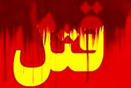 جنایت تکان دهنده در برج 20 طبقه قلهک | قتل مرد جوان با 37 ضربه چاقو به‌خاطر یک میلیارد