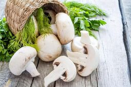 مشکلات رایج در نگهداری از قارچ | ترفندی عالی برای جلوگیری از سیاه و کدر شدن قارچ