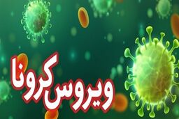 آخرین آمار کرونا در ایران/ ۸۰ نفر دیگر فوت شدند