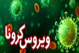 کشف دلیل مرگ افراد با ابتلا به کرونا