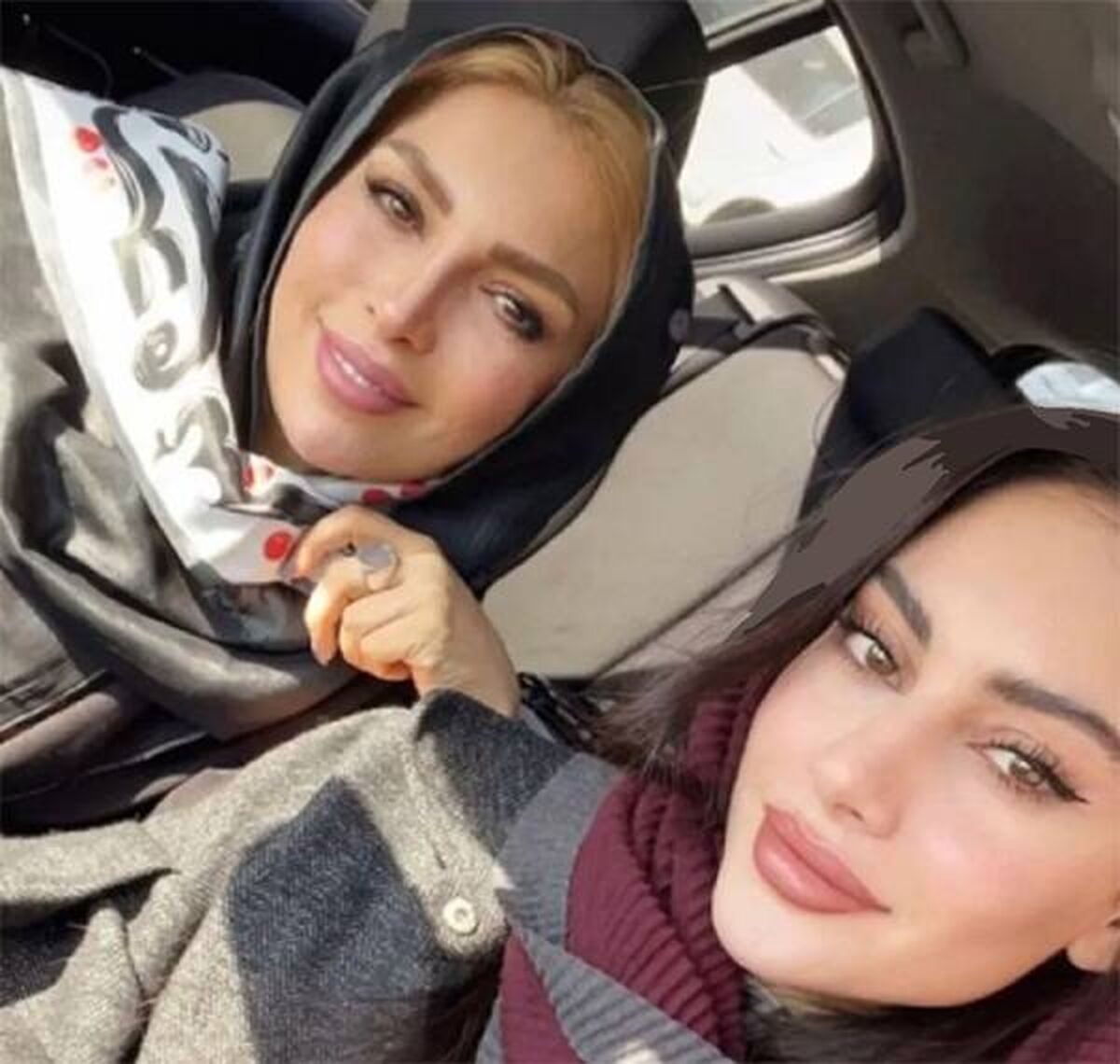 بیوگرافی ترلان پروانه