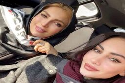 بیوگرافی ترلان پروانه