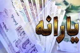 طرح جدید دولت برای حذف یارانه نقدی خانوار های پر درآمد | در سال جدید یارانه نقدی کدام افراد قطع می شود ؟