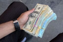 آخرین اخبار قیمت دلار | قیمت دلار در بازار تا کجا پیش رفت؟