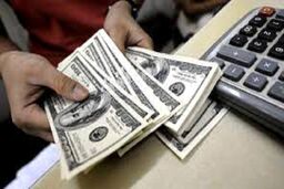 ریزش باورنکردنی قیمت دلار در بازار آزاد ۲۶ آبان 