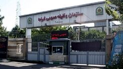 خبر مهم برای  مشتاقان زیارت اربعین | مشمولان غایب از مراجعه به مرزها خودداری کنید