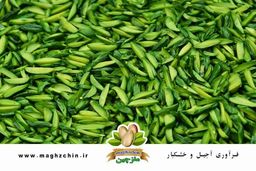 خرید آجیل عید نوروز