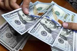 یک اظهارنظر جنجالی درباره قیمت دلار/ دلار سقوط می‌کند؟