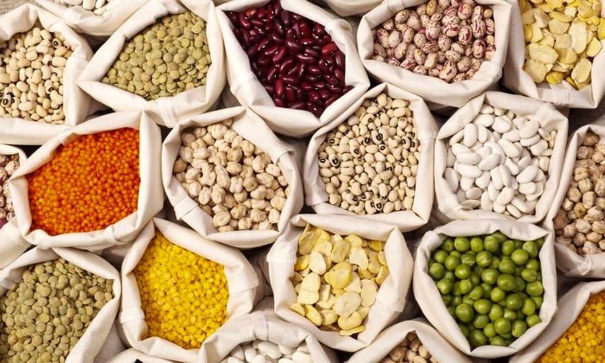 افزایش قیمت لپه /گرانی در بازار حبوبات