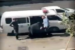 ماجرای بازداشت خانم جوان از زبان پلیس