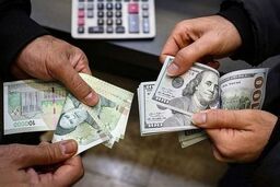 پیش‌بینی مهم اقتصاددان معروف از قیمت جدید دلار | قیمت دلار ریزشی می شود ؟