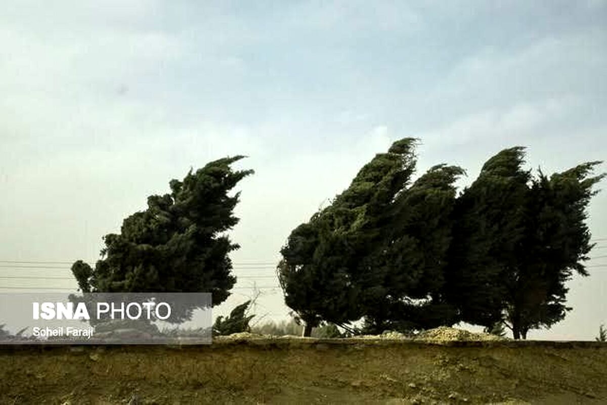 وزش باد شدید در تهران | هشدار هواشناسی را جدی بگیرید