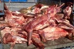 کشف لاشه ذبح شده اسب در یک خودرو | گوشت غیر مجاز امحا شد 