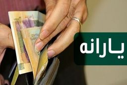 جاماندگان حتما بخوانند/ چه زمانی برای یارانه جدید ثبت نام کنیم؟