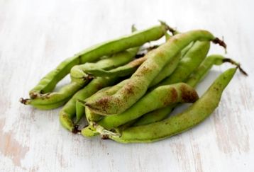 خواص باقلا از دیدگاه امام رضا (ع) و طب مدرن | فواید باقلا تازه و خشک برای سلامت بدن و لاغری