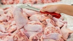 افزایش قیمت مرغ صدای همه را در آورد!+ جزئیات بیشتر 