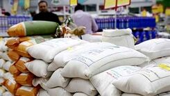  از اول آذر منتظر ارزانی برنج باشید