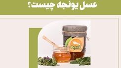 عسل یونجه چیست؟ + 7 خواص حیرت انگیز آن