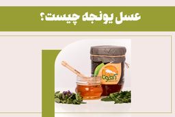 عسل یونجه چیست؟ + 7 خواص حیرت انگیز آن