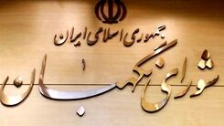 نحوه دریافت تخلفات انتخاباتی از سوی شورای نگهبان مشخص شد