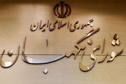 نحوه دریافت تخلفات انتخاباتی از سوی شورای نگهبان مشخص شد