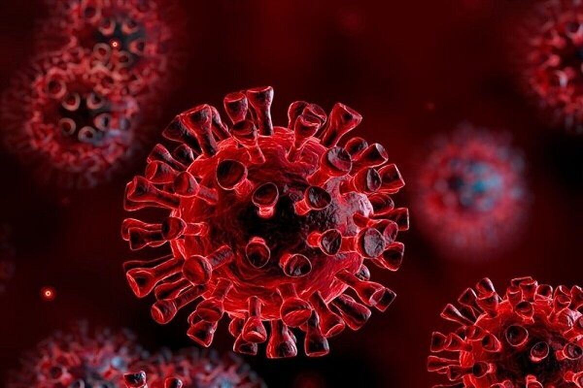 آمار کرونا| فوت 2 هموطن دیگر در شبانه‌روز گذشته