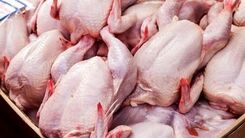 قیمت گوشت مرغ امروز شنبه ۲۵ فروردین | فیله مرغ چند شد + جدول