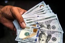 قیمت دلار کاهشی شد / ریزش شدید در راه است