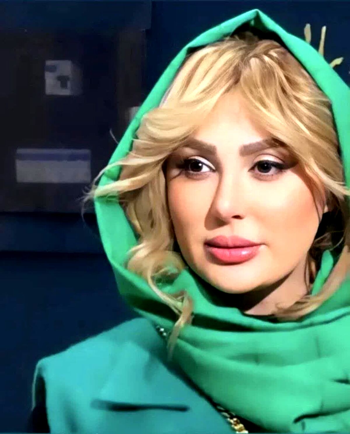 جشن تولد دختر نیوشا ضیغمی با تم یک کارتون معروف | سنگ تمام نیوشا ضیغمی برای تولد دخترش بعد از طلاق +عکس