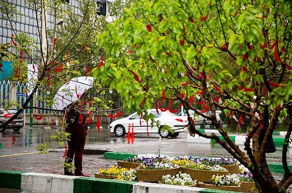 تهران خنک می‌شود | آغاز بارش باران در پایتخت