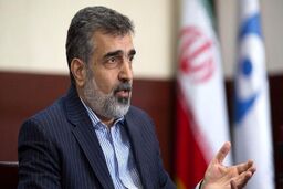 خبرفوری/ بازرسان آژانس بین المللی به ایران می آیند