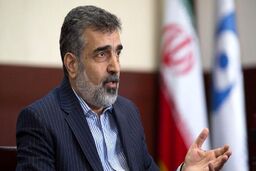 خبرفوری/ بازرسان آژانس بین المللی به ایران می آیند