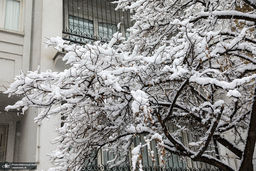 هشدار به تهرانی ها | تهران در حالت آماده‌باش | برف و کولاک در راه است